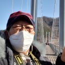 포천한탄강하늘다리 이미지