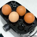 에그레시피 | 필립스 3000 시리즈 에그 쿠커 HD9137/90 내돈내산 후기 🥚 근데 이제 에그샌드위치 레시피를 곁들인