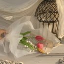 군장카피타운 이미지