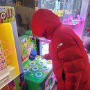 개구리게임장 이미지