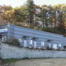 벌과 사람 이미지