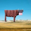 보배세탁소 이미지