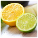 라임 이미지