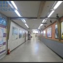 아람탁구교실