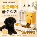 펫베어 | [파스텔펫] 쫑긋베어 반자동 급수식기 후기｜말티푸 깜지 밥그릇 추천💛