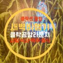 주식회사 뉴그린한식부페 | 클락 국제공항 라운지 완전정복｜새벽 비행기 앞두고 한 끼·샤워·휴식 해결