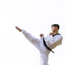 캡틴태권도 이미지