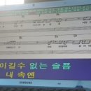 진리레슨 이미지