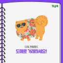 펫도매유통