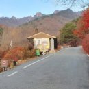 대둔산힐링센터 이미지