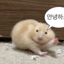 리엘주뷰티 이미지