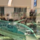 (주)유림항공여행사 | 대한항공 인천 ➡️ 하와이 호놀룰루행 이코노미 직항 입국심사 후기