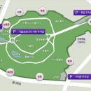 어린이대공원잔디축구장 네이버블로그