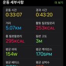 낙지발이 몇개고 이미지