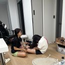 하반기 입성 나의 계절이 돌아옴 :: 당분간 박씨들과 내외하는 삶을 살겠습니다.