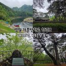 영월 가볼만한곳 청령포 비오는날 후기 배 대기시간
