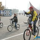 녹색 이미지