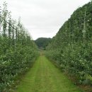 신덕농장 이미지