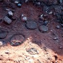 대전고등학교 이미지