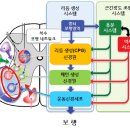 큰솔2병원 이미지