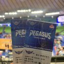 태산체육관 | [직관 후기] 대구 한국가스공사 페가수스 11월 홈경기 후기! (대구실내체육관 주차 팁 / G1 좌석 시야)