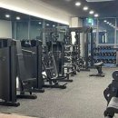 머슬원핏 이미지