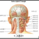 요가근육학 -서문(V D T 증후군 ; Visual Display Terminal(영상 단말기) 이미지