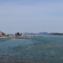 아라메길 (삼길나루길-벚꽃길) 이미지