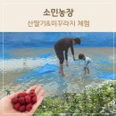 상룡농장 이미지