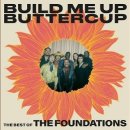 Build Me Up Buttercup(The Foundations) 이미지