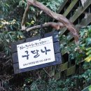 공회당 한국일보
