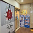 메디칼 엠코 | 미금역 네일 [네일브라운 분당미금점] 가을 버건디 아트