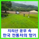 콘텐츠연구소섬진강 | 지리산 운무 속 한국 전통차의 향기