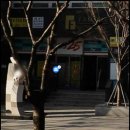 지에스25 좌동펄시티 이미지