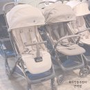 중부대로 1262번길5 | 영통 베이비하우스 휴대용유모차 누비앤타보 레노 아기용품점 직접 비교 후기