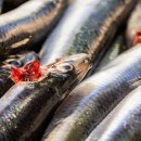 청춘풍차펜션 | 남해 독일마을·해안도로 감성 맛집&amp;카페 추천