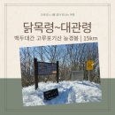 백두대간 닭목령 고루포기산 능경봉 대관령(쌓인 눈과의 사투)