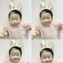 라올 이미지