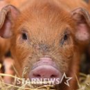 김창현농장 이미지