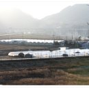 섬진수산식품 네이버블로그