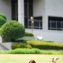 엄지아 카카오 검색결과