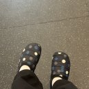 뉴영남식당 | 25년 마흔일곱 번째 주