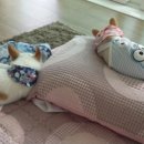 봉구PC 이미지