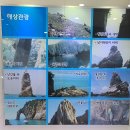 도초 작은도서관 | 자산문화도서관 전시실 관람 : 자산어보를 집필한 정약전의 뜻, 그리고 흑산도의 역사와 문화를 살필 수...