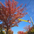 흥덕초교 병설유치원 이미지
