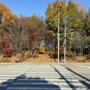 11월 마지막 주 일상 (가지마...)