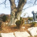 새터 대평농장 이미지