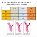 에끌라영에스테틱 이미지