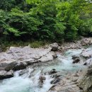 더원농장 이미지