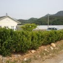대전시내(산내) 토지(건물)매매 이미지